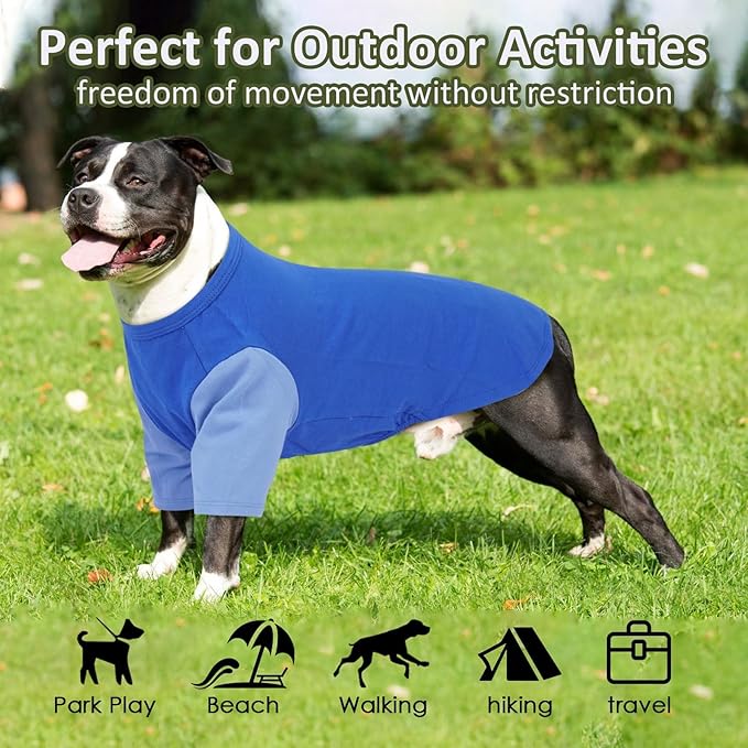 2 Pack Dog Shirt for Medium Dogs - Soft Breathable Summer Cool Tee, Lightweight Comfortable Clothes for Sensitive Skin, Jack Russell, Shihtzu, Indoor Lounging, Walking, Park Play, Blue