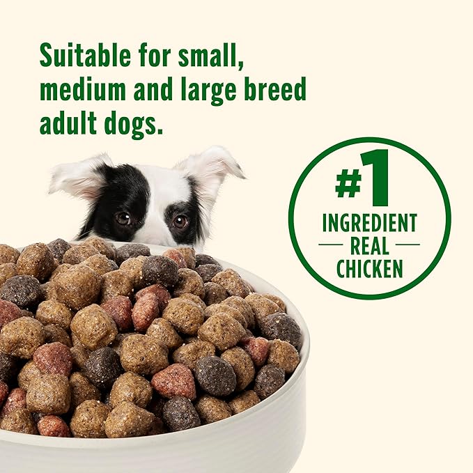 Nutrish Real Chicken & Veggies Recipe Whole Health Blend Dry Dog Food, 14 lb. Bag, Packaging May Vary (Rachael Ray)