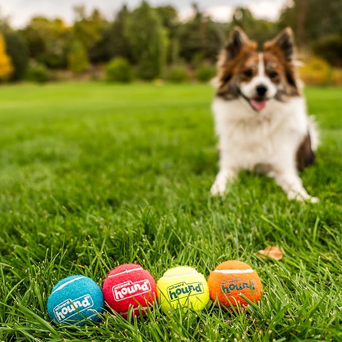 Outward Hound Squeaker Ballz 4-Pack Tennis Ball Dog Toys with Squeaker, Interactive Fetch Play for Pets Under 25 lbs, Training Balls for Indoor & Outdoor Exercise, Small, 2-inch