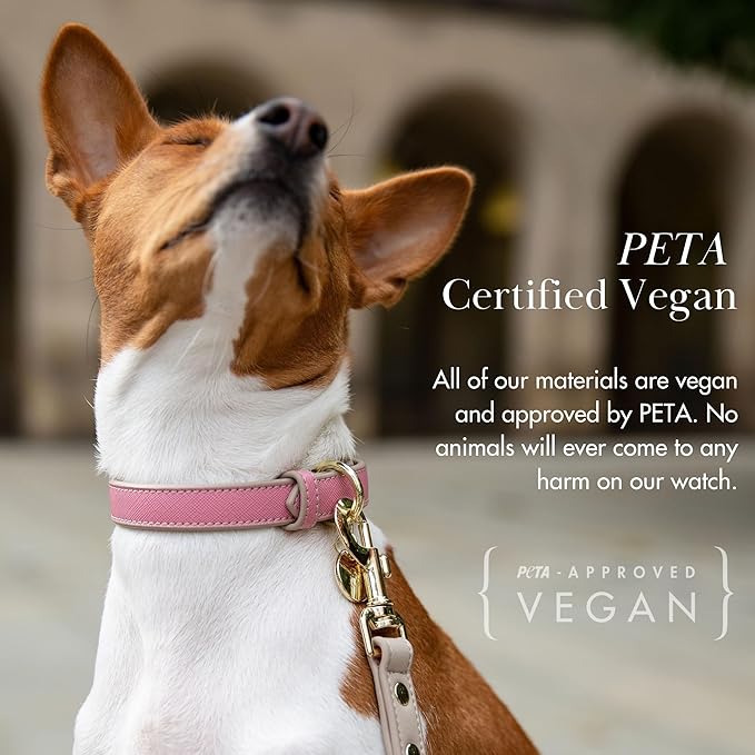 NINA WOOF Rio Vegan Leather Dog Collar - Padded Luxury Dog Collar with Adjustable Buckle - Collar for Dogs, Dog Collar for Small Dogs to Dog Collar for Large Dogs - Color Peach (Large)