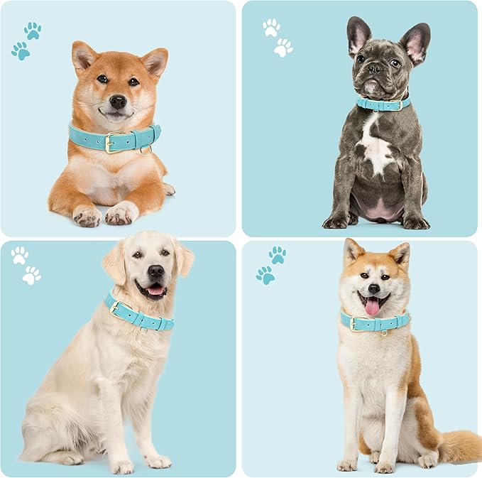 Leather Dog Collar for Small Medium Large Dogs, Soft Padded Dog Leather Collar with Heavy Duty Gold Buckle, Durable & Comfortable for Large Dogs Daily Walking (Teal, L)