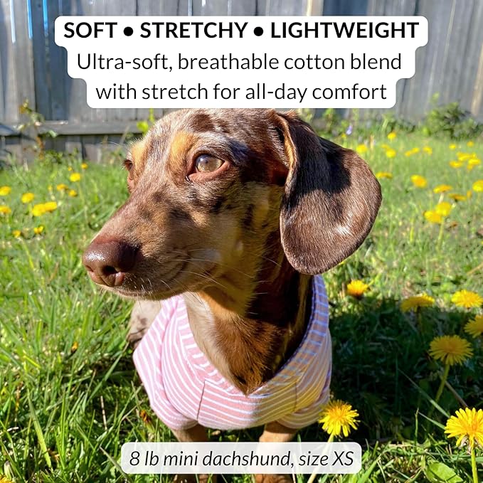 DJANGO Dog Hoodie – Warm, Lightweight, Soft & Stretchy Dog Sweater with Hood, Harness Hole & Elastic Waistband – Cozy Sweatshirt for Small Dogs up to 25 lbs, Dachshunds & Puppies – Blush Pink, X-Small