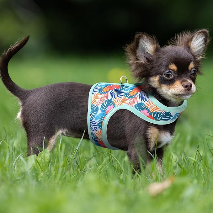 Mile High Life Dog Harness, Air Mesh Floral Vest Harness for 20 lbs Small Dogs & Cats, Easy Get on Adjustable Easy Closures Both Neck and Chest(Green Flower, S Chest 16"-18")