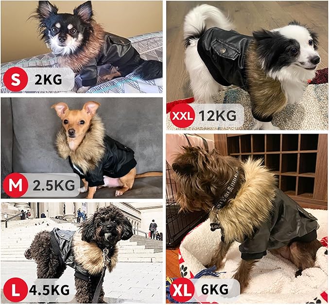 PETLESO Dog Coat for Small Dogs, Dog Leather Jacket Waterproof Windproof, Double Layer Warm Dog Winter Coat with Plush Lined, Black L