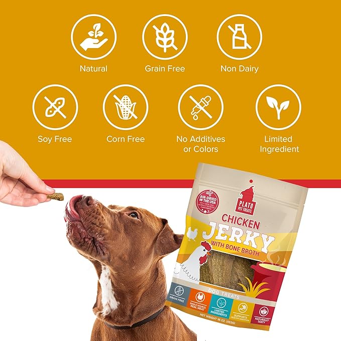 PLATO Pet Treats Jerky Dog Treats - Air-Dried Jerky for Dogs - Delicious, Real Meat Dog Treats - Grain Free - Supports Healthy Digestion - Chicken Jerky with Bone Broth 16oz