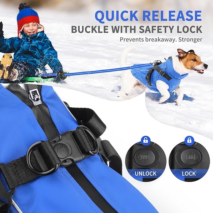 Dog Winter Coat Reflective Water-Resistant Jacket, Fleece Lined Windproof Puppy Coat with Back Zipper & D-Ring, Cold Weather Dog Coats for Small Medium Large Dogs （XXL,Blue）