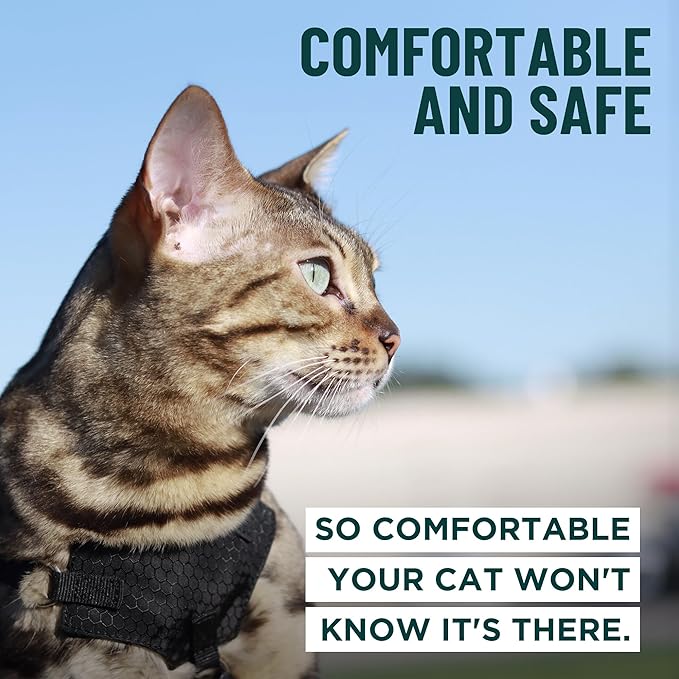 Houdini™ Escape Proof Kitten Harness and Leash Set by OutdoorBengal – Turquoise, Small Cat Harness for Walking