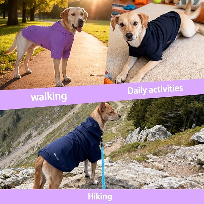 Basic Dog Hoodie Sweatshirts, Pet Clothes Hoodies Sweater with Hat and Leash Hole, Soft Cotton Outfit Coat for Large Medium Small Dogs, Purple (Large)