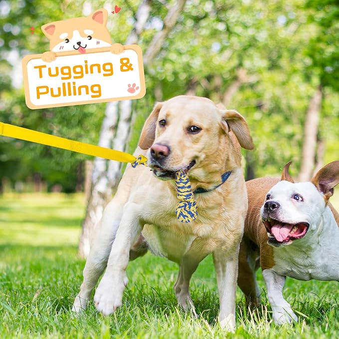XiaZ Tug of War Dog Toy, Interactive Dogs Toy Bungee Hanging Tether with 2 Chew Rope Toys, Heavy Duty Puppy Outdoor Activity Aggressive Chewers Best Small to Large Boredom Exercise and Play (Yellow)