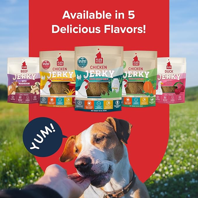 PLATO Pet Treats Dog Treats - Air-Dried Jerky - Delicious, Real Meat - Grain Free - Supports Healthy Digestion - Chicken with Goat Milk 7oz