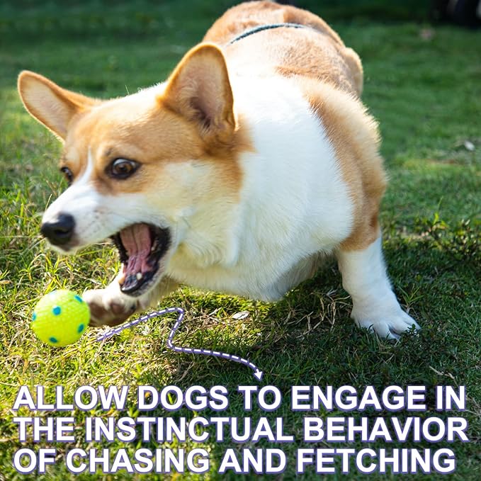 Dog Balls 12 Pcak, 9 Latex Balls and 3 Tennis Balls for Small Dogs and Puppies for Automatic Dog Ball Launcher(2 Inches)