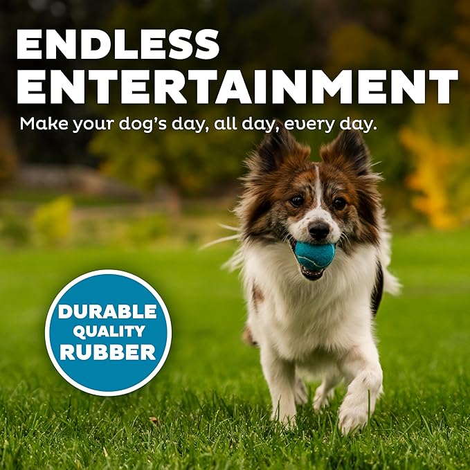 Outward Hound Squeaker Ballz 8-Pack Tennis Ball Dog Toys with Squeaker, Interactive Fetch Play for Pets Under 25 lbs, Training Balls for Indoor & Outdoor Exercise, Small, 2-inch