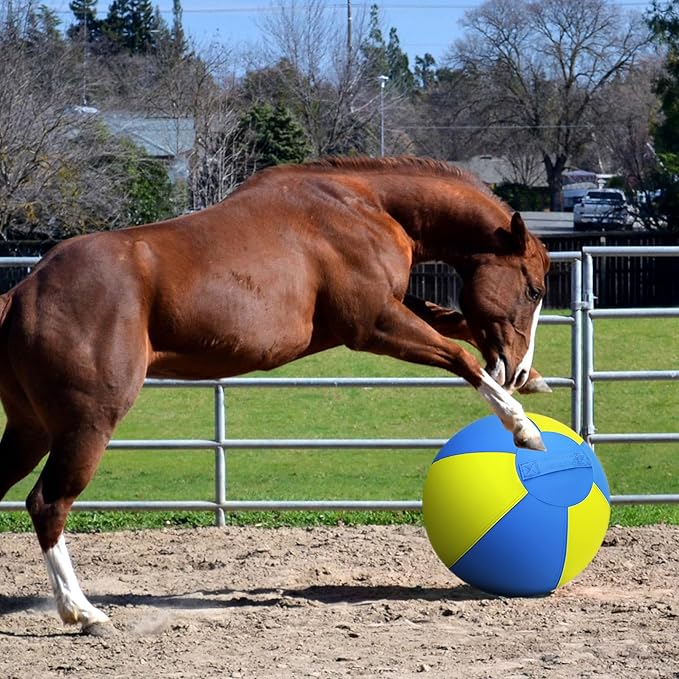 Herding Ball for Dogs and Horses - 25" Jolly Ball for Dogs, Agility Training Equipment, Herding for Australian/German Shepherd, Improved Bite-Resistant, Reinforced Sewing Dog Toys - Blue Large
