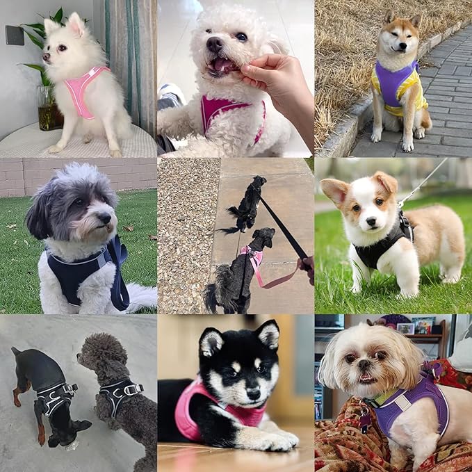 Dog Harness with Leash Set, No-Pull Step-in Reflective Pet Harness with 1 Leash Clips, Adjustable Soft Padded Easy Walk Dog Vest for Small Medium Large Dogs, Cats(Rose Red, Medium)