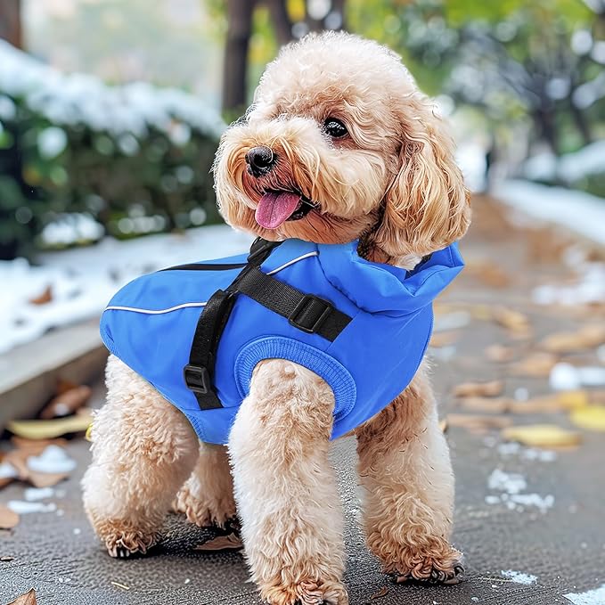 Dog Winter Coat Reflective Water-Resistant Jacket, Fleece Lined Windproof Puppy Coat with Back Zipper & D-Ring, Cold Weather Dog Coats for Small Medium Large Dogs (M,Blue)