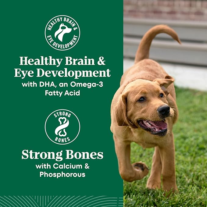 Nutro Natural Choice Chicken & Brown Rice Puppy Food Dry Recipe, 5 lb. Bag