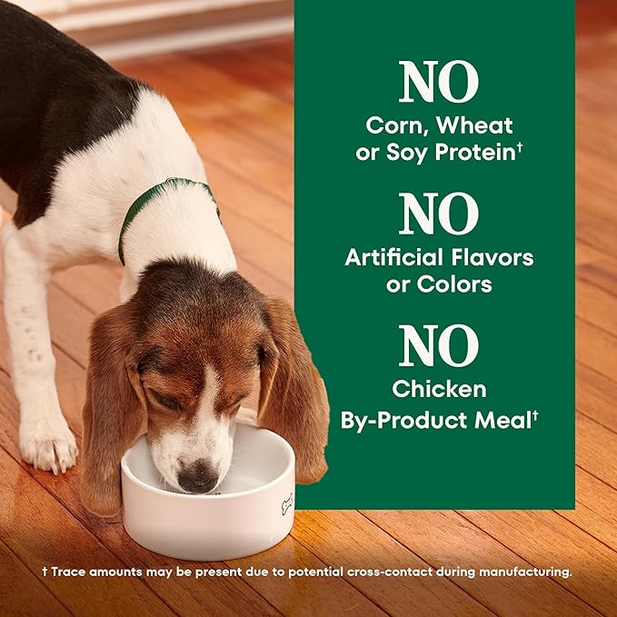 Nutro Natural Choice Lamb & Brown Rice Puppy Food Dry Recipe, 4.5 lb. Bag