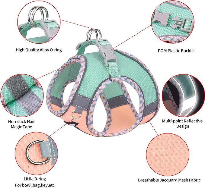 AIITLE Dog Harness and Leash Set - Ultra-Comfortable XXS-XL Vest with Strong Magic Tape & Glow-in-Dark Reflective Strips, Chafe-Free for Teddy, Schnauzer (Turquoise-Pink, M)