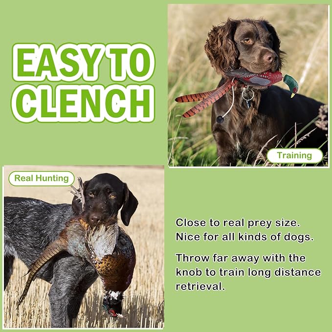 Archerest Dead Duck Dove Pheasant Dummy Bumper Toys for Waterfowl Hunting Retriever Dog Training, Floating Mallard Dummy Trainer Outdoor Soft Durable Realistic Fowl