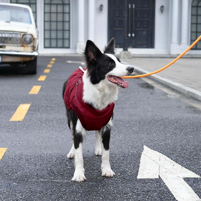 Dog Jacket with Harness,Fleece Lined Warm Puppy Coat for Winter,Soft Windproof Small Dog Vest,Red XS