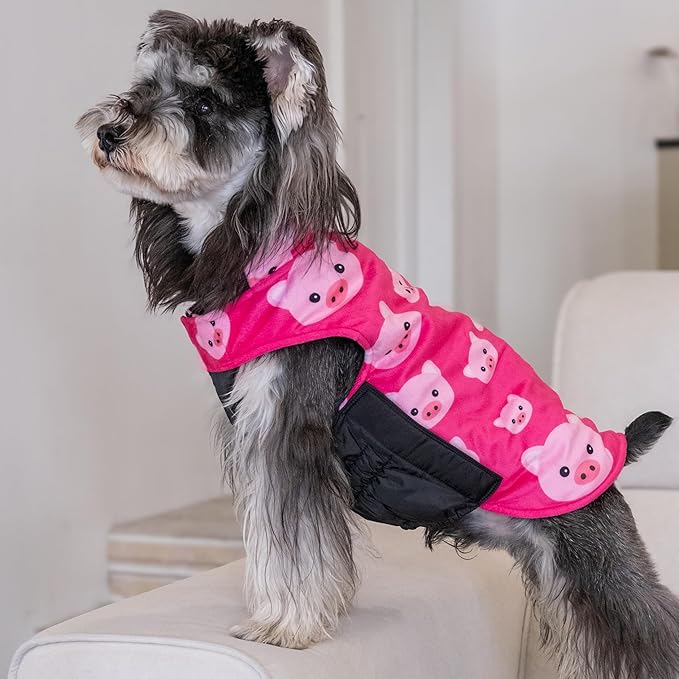 CuteBone Winter Reversible Dog Jacket with Leash Hole: Waterproof Windproof Soft Coats for Small Medium Large Dogs