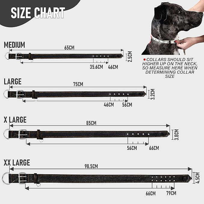 Riparo Dog Collar - Genuine Leather Dog Collars - Heavy Duty Dog Collars for Medium Large and Extra Large Dog Breeds (M: 1” Wide for 14” - 18” Neck, Black/Orange Thread)