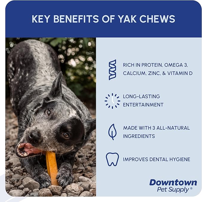 Downtown Pet Supply Yak Cheese Himalayan Dog Chews - Regular Yak Chews Rich in Nutrients for Small to Medium Dogs - Long Lasting, Odorless and Easy to Digest Cheese Dog Treats - 0.5 LB