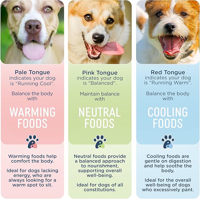 Side by Side Pork & Rabbit Stew - Cooling Wet Dog Food & Dog Food Topper for All Breeds - Made with Nutrients & Whole Raw Ingredients - No Artificial Additives or Fillers - USA Made (12.5 oz, 6-Pack)