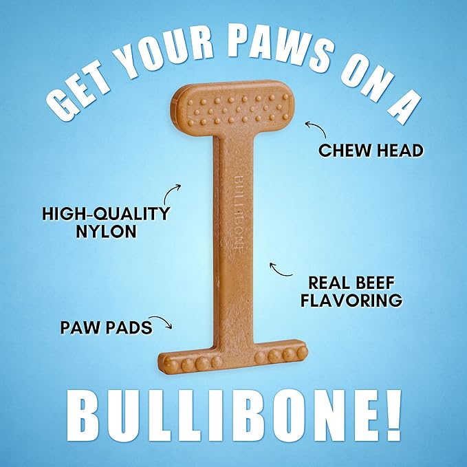 Bullibone Nylon Dog Chew Toy Nylon Bone - Improves Dental Hygiene, Easy to Grip Bottom, and Permeated with Flavor (Beef, Small - 3 Pack)