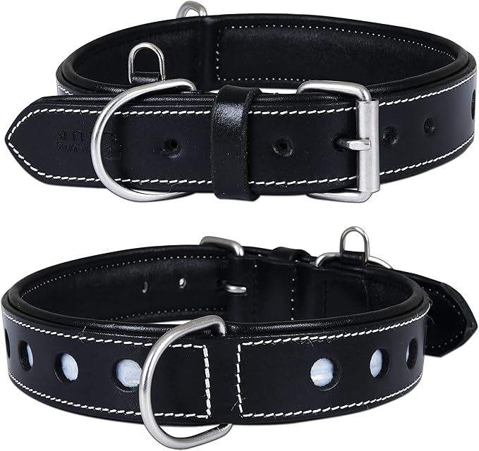 | Genuine Leather Dog Collar | Full Grain, Heavy Duty | Comfortable, Padded, Strong | Best for Pups, Small, Medium, Large & XL Breeds (Large (Fit Neck Size 18.5"-22.5"), Raven)
