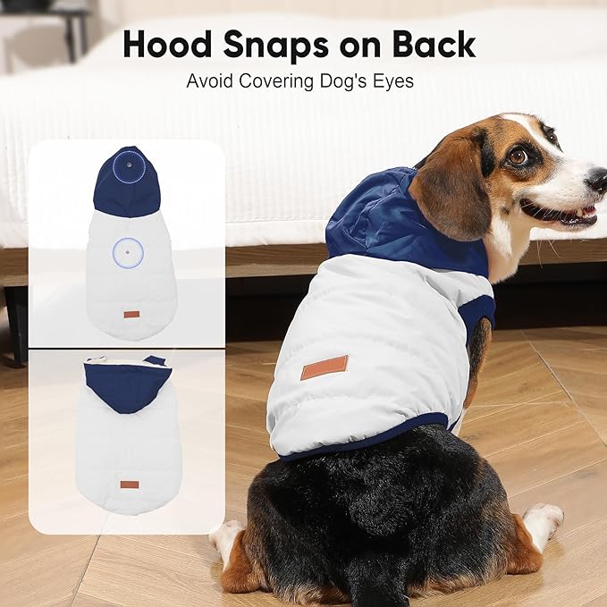 Fleece Lining Extra Warm Dog Hoodie in Winter,Small Dog Jacket Puppy Coats with Hooded,Beige and Blue S