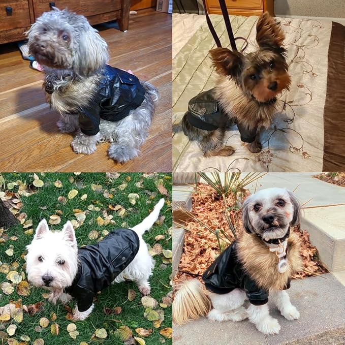 LESYPET Dog Leather Jacket for Small Dogs, Waterproof Dog Winter Jacket Puppy Coat with Fleece Lined, Ultra Warm Fur Collar Doggie Coat, Black XX-Large