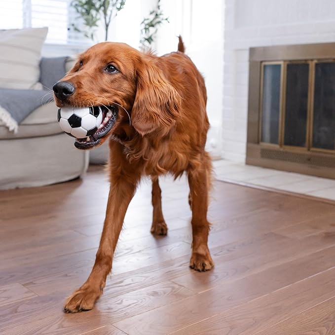 Outward Hound by Planet Dog Soccer Ball, Durable Treat-Dispensing Dog Ball, Interactive Fetch Toy, Orbee-Tuff, Mint Scented, BPA-Free, for Indoor & Outdoor Play, White