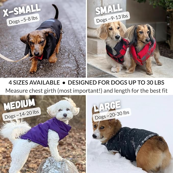 DJANGO Reversible Puffer Dog Coat – Warm Winter Dog Jacket & Water-Repellent Insulated Dog Coat with Harness Hole, Windproof, Adjustable Fit for Small & Medium Dogs, Dachshunds – Lava Red, X-Small