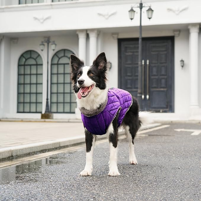 Warm Fleece Dog Coats with Durable Harness Buitl in D-Ring,Waterproof Puppy Jacket for Small Dogs,Dog Vest for Cold Winter,Purple M