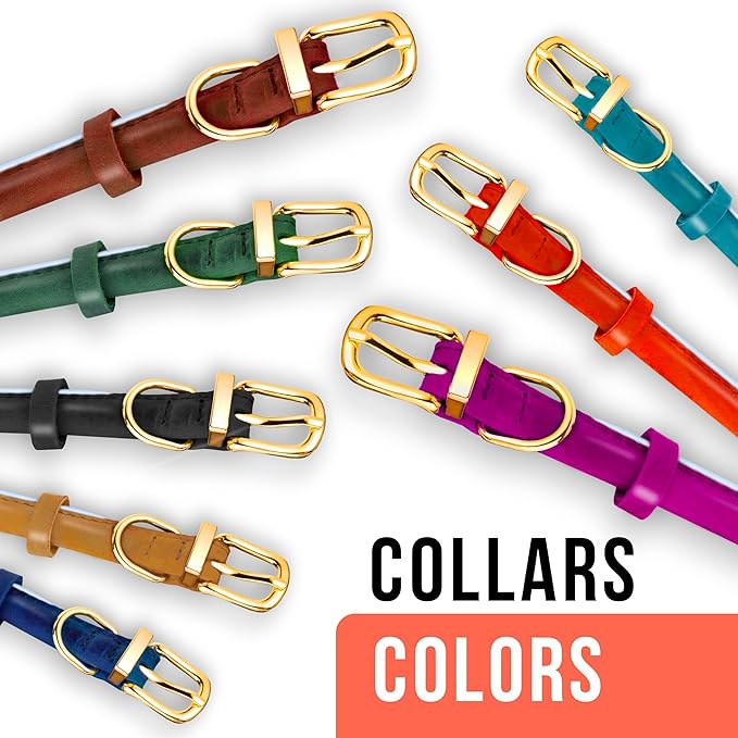 OOPSDOGGY Reflective Rolled Leather Dog Collar Adjustable Soft Padded Pet Collar for Small Medium Large Breed Dogs (Teal, S, 10"-13")