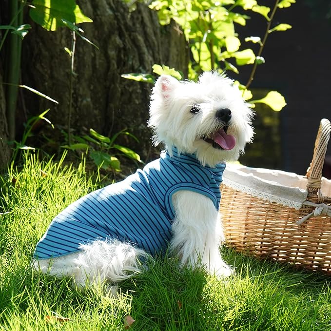 ROZKITCH Dog Shirt for Large Dogs Giant Breeds Sweater Pet Hoodie & Vest, Breathable Cozy Pullover for Stylish & Functional Design BlueStripe 3XL