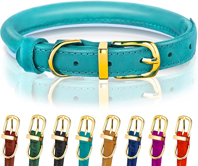 OOPSDOGGY Reflective Rolled Leather Dog Collar Adjustable Soft Padded Pet Collar for Small Medium Large Breed Dogs (Teal, XXS, 7"-9")