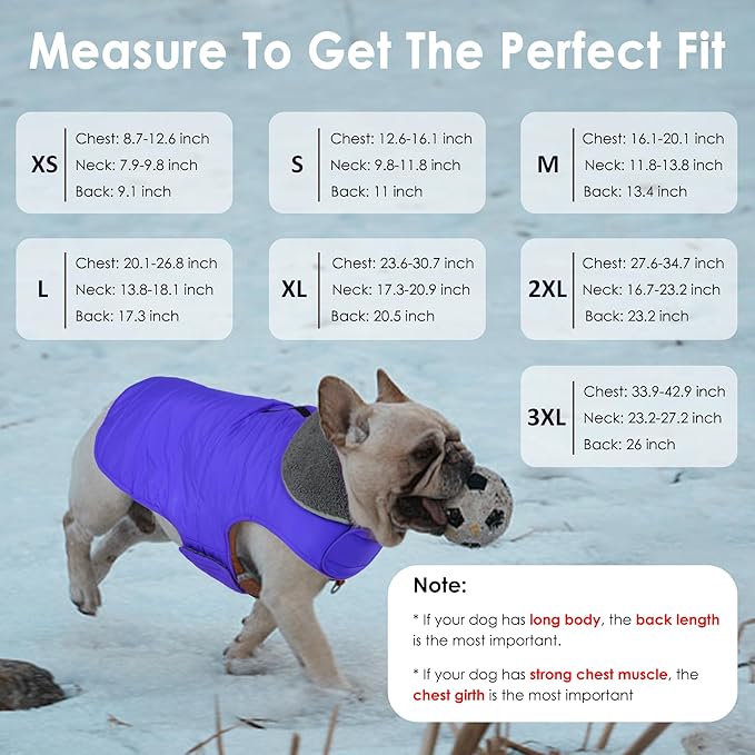 Dog Winter Coat, Waterproof Dog Jacket with Leash Hole, Reflective Adjustable Pet Snow Vest, Warm Fleece Sweater for Small Medium Large Dogs - Blue, XL