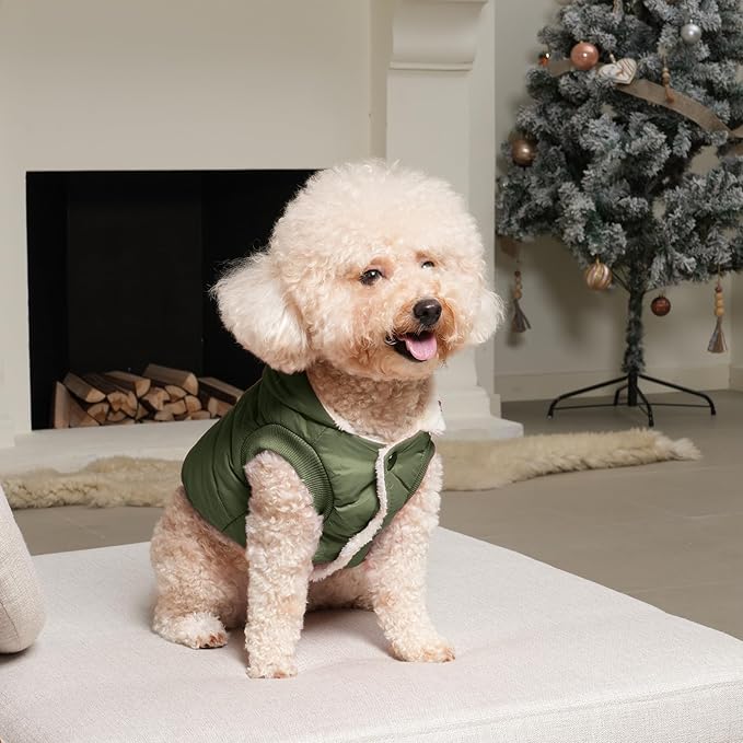 Fleece Lining Extra Warm Dog Hoodie in Winter,Small Dog Jacket Puppy Coats with Hooded Green XS