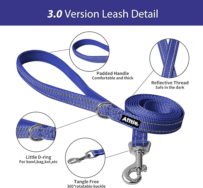 AIITLE Comfortable Dog Harness and Leash Set for Walking - Summer Step in Vest Harness,Reflective Bands, Adjustable No Pull Puppy Essentials, for Small Dogs and House Cats Royal Blue XS