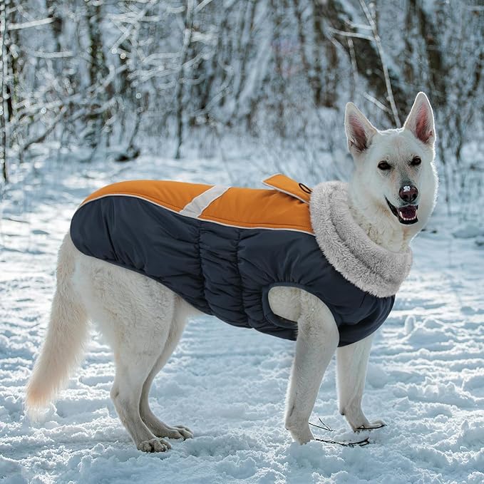 Queenmore Warm Fleece Dog Jacket with Leash Hole - Cold Weather Waterproof Dog Snow Jacket & Reflective Turtleneck Coat for Small-Medium & Large Dogs (Brown, L)