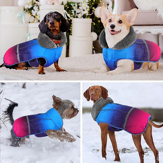 Dogcheer Warm Dog Coat, Waterproof Dog Winter Jacket Christmas Puppy Cold Weather Coats with Buckle, Reflective Adjustable Pet Snow Jacket for Small Medium Large Dogs - Gradient Blue-red, 3XL