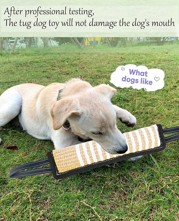 Clysoru Tug Toy for Dogs Squeaky Toy with 2 Strong Handles Lasting Training Equipment Puppy to Large Dog Interactive Toys of War Pull Indestructible Rope Pet Crinkle Teething (Black)