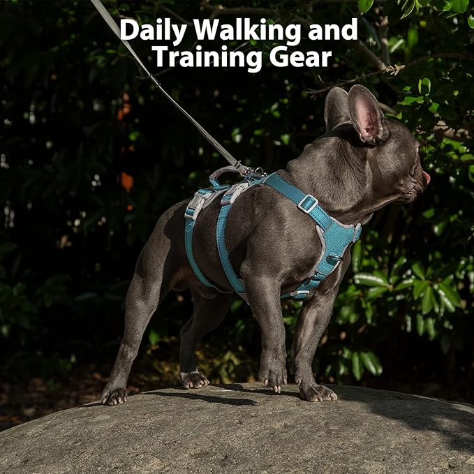 Huntboo Escape Proof Dog Harness, No Pull Reflective Harness with Lift Handle, Adjustable Pet Vest with Front and Back Leash Clips for Small Medium Large Dogs Walking Hiking Training (Teal,L)