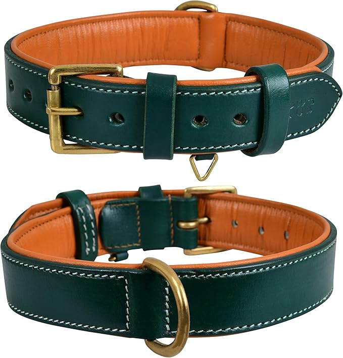 Genuine Leather Dog Collar | Full Grain, Heavy Duty, Comfortable, Padded, Strong | Best for Pups, Small, Medium, Large & XL Breeds (Small (Fit Neck Size 11.5"-14.5"), Teal Green)