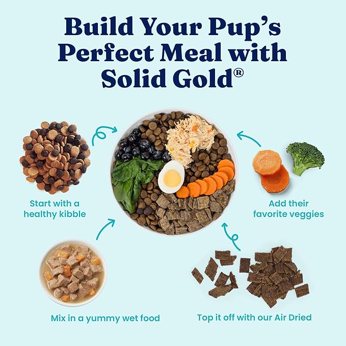 Solid Gold Lil' Boss Wet Dog Food, Turkey and Hearty Vegetable Recipe, Puppy & Adult Dogs of All Activity Levels, Toy and Small, 3.5 oz Cup, 12 Count