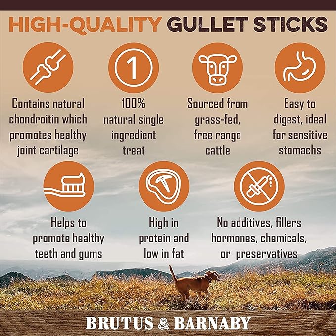 BRUTUS & BARNABY 12 Cow Ears + 15 Gullet Treats, All Natural Whole Dog Treats