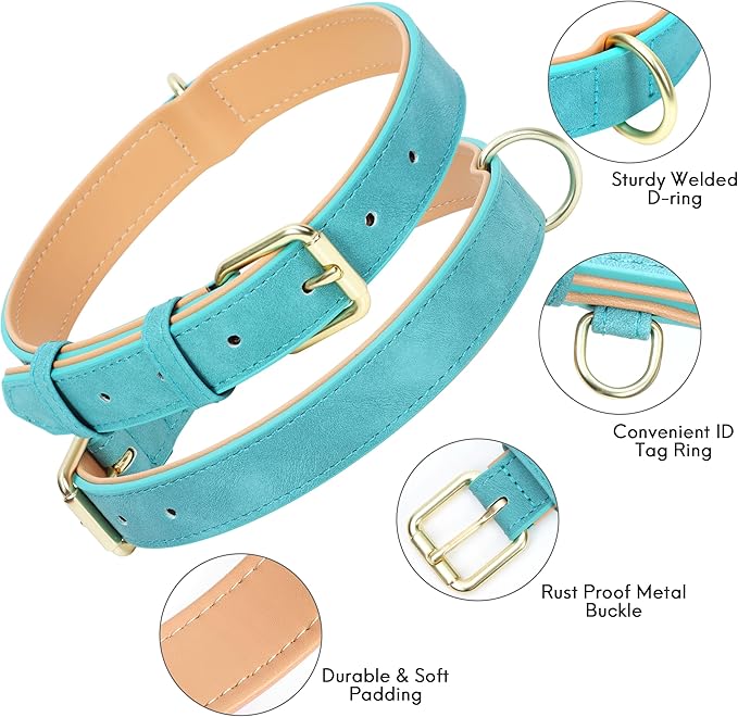 Leather Dog Collar for Small Dogs, Soft Padded Dog Leather Collar with Heavy Duty Gold Buckle, Durable & Comfortable, Teal Blue, S