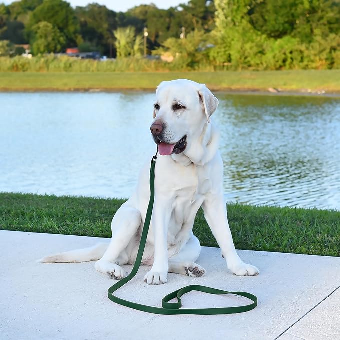 Dogline Biothane Waterproof Dog Leash Strong Coated Nylon Webbing with Black Hardware Odor-Proof Easy to Clean High Performance for Small or Large Dogs Made in USA 2 ft Lead, Hunter Green